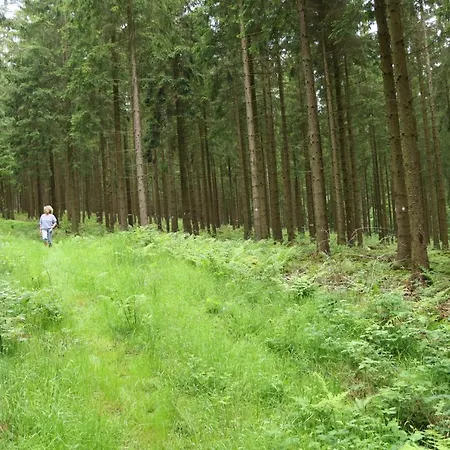 De Lounge * بولانغ