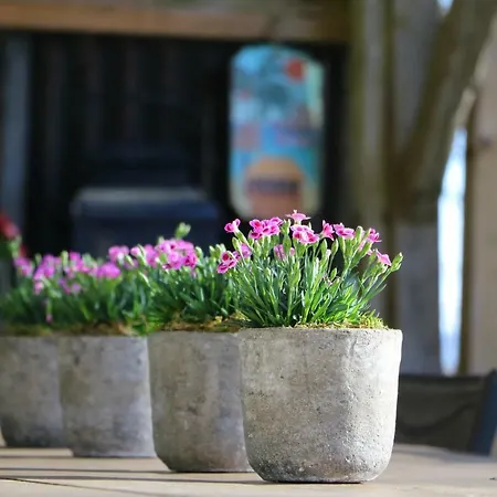 De Lounge بيت للعطل بولانغ