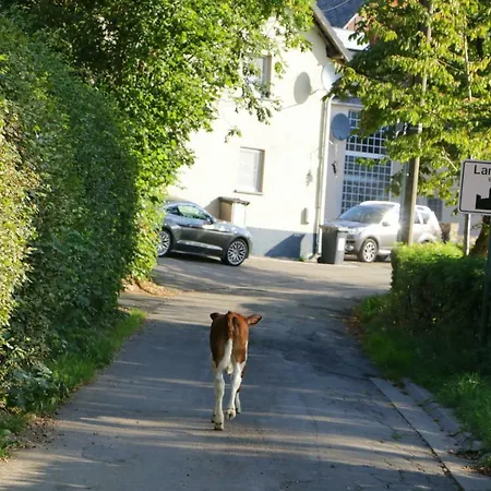 بيت للعطل De Lounge