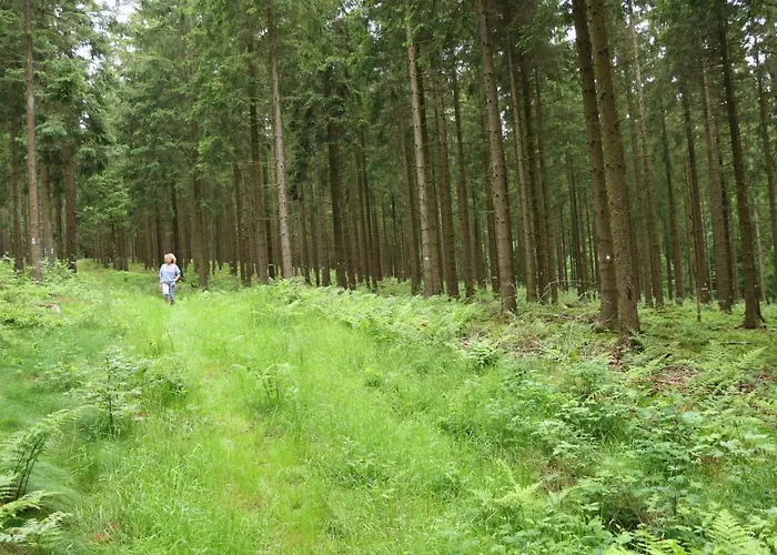 De Lounge * Büllingen