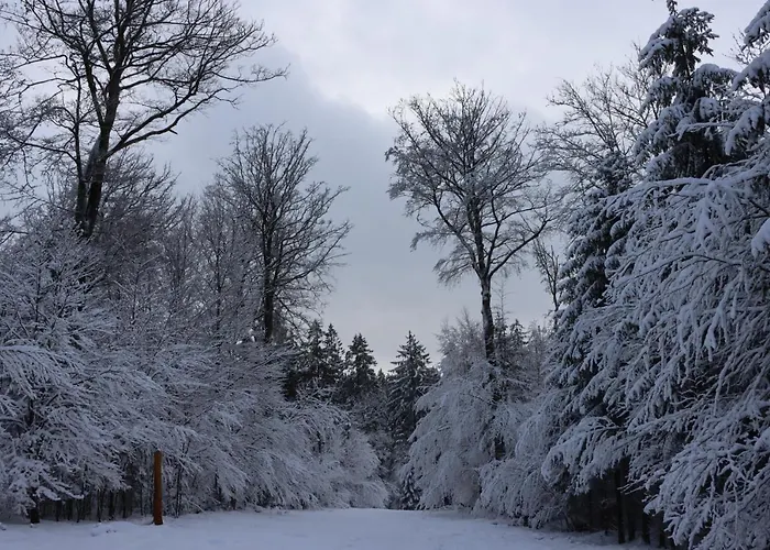 Ferienhaus De Lounge