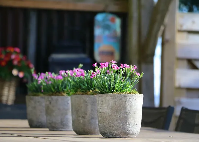 De Lounge Ferienhaus Büllingen